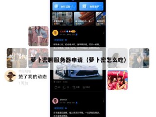 萝卜密聊服务器申请（萝卜密怎么吃）
