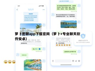 萝卜密聊app下载官网（萝卜+专业聊天软件安卓）