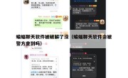 蝙蝠聊天软件被破解了没（蝙蝠聊天软件会被警方查到吗）