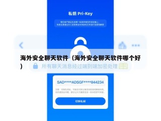 海外安全聊天软件（海外安全聊天软件哪个好）