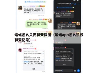 蝙蝠怎么关闭聊天截图（蝙蝠app怎么销毁聊天记录）