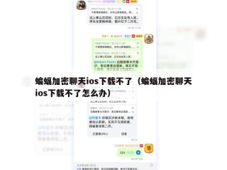 蝙蝠加密聊天ios下载不了（蝙蝠加密聊天ios下载不了怎么办）
