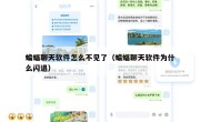 蝙蝠聊天软件怎么不见了（蝙蝠聊天软件为什么闪退）