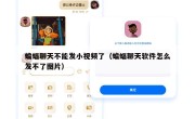 蝙蝠聊天不能发小视频了（蝙蝠聊天软件怎么发不了图片）