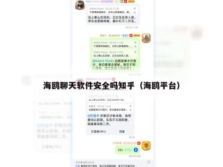 海鸥聊天软件安全吗知乎（海鸥平台）