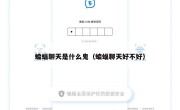 蝙蝠聊天是什么鬼（蝙蝠聊天好不好）