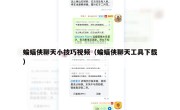 蝙蝠侠聊天小技巧视频（蝙蝠侠聊天工具下载）