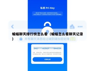 蝙蝠聊天排行榜怎么看（蝙蝠怎么看聊天记录）