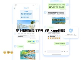 萝卜密聊链接打不开（萝卜app链接）