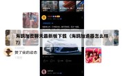海鸥加密聊天最新板下载（海鸥加速器怎么样?）