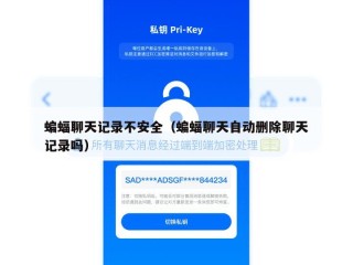 蝙蝠聊天记录不安全（蝙蝠聊天自动删除聊天记录吗）