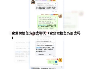 企业微信怎么加密聊天（企业微信怎么加密码）