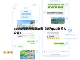 p20如何把通讯录加密（华为p20联系人设置）