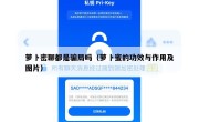 萝卜密聊都是骗局吗（萝卜蜜的功效与作用及图片）