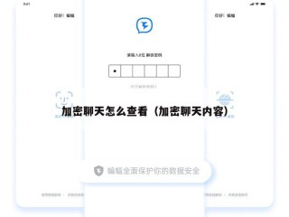加密聊天怎么查看（加密聊天内容）
