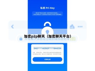 加密p2p聊天（加密聊天平台）