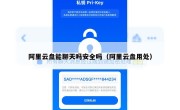 阿里云盘能聊天吗安全吗（阿里云盘用处）