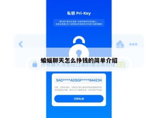 蝙蝠聊天怎么挣钱的简单介绍