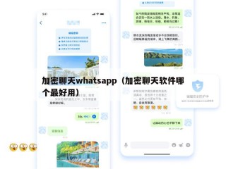 加密聊天whatsapp（加密聊天软件哪个最好用）