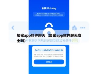 加密app软件聊天（加密app软件聊天安全吗）