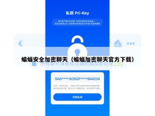 蝙蝠安全加密聊天（蝙蝠加密聊天官方下载）