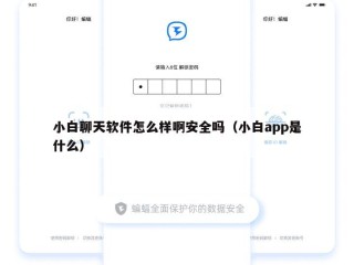 小白聊天软件怎么样啊安全吗（小白app是什么）