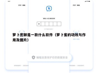 萝卜密聊是一款什么软件（萝卜蜜的功效与作用及图片）