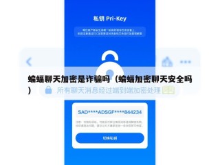 蝙蝠聊天加密是诈骗吗（蝙蝠加密聊天安全吗）