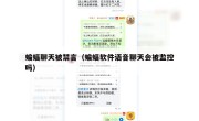 蝙蝠聊天被禁言（蝙蝠软件语音聊天会被监控吗）