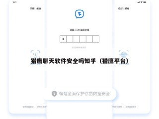 猎鹰聊天软件安全吗知乎（猎鹰平台）