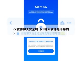 cc软件聊天安全吗（cc聊天软件是干嘛的）