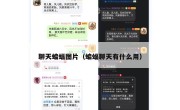 聊天蝙蝠图片（蝙蝠聊天有什么用）
