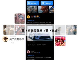 萝卜密聊买货币（萝卜商城）