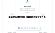 蝙蝠聊天保存图片（蝙蝠聊天保存文件夹）