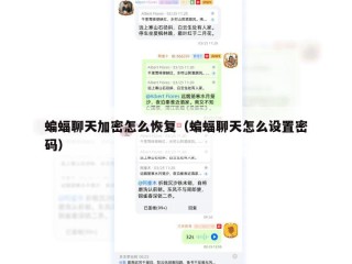 蝙蝠聊天加密怎么恢复（蝙蝠聊天怎么设置密码）