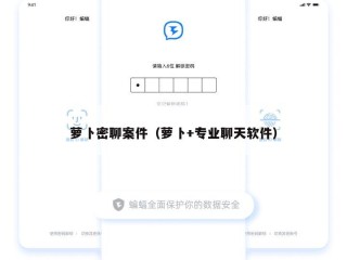 萝卜密聊案件（萝卜+专业聊天软件）
