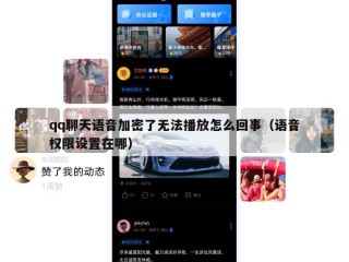 qq聊天语音加密了无法播放怎么回事（语音权限设置在哪）