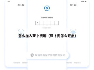 怎么加入萝卜密聊（萝卜密怎么开启）