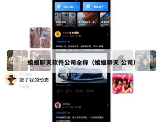 蝙蝠聊天软件公司全称（蝙蝠聊天 公司）