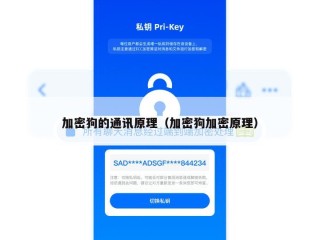 加密狗的通讯原理（加密狗加密原理）