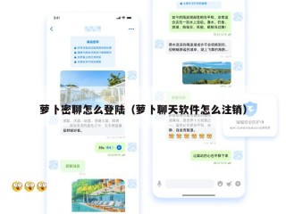 萝卜密聊怎么登陆（萝卜聊天软件怎么注销）