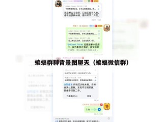 蝙蝠群聊背景图聊天（蝙蝠微信群）