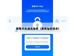 黑莓手机通讯加密（黑莓加密技术）