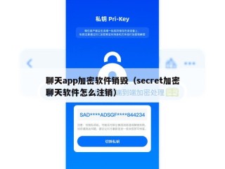 聊天app加密软件销毁（secret加密聊天软件怎么注销）