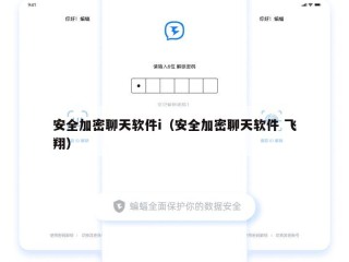 安全加密聊天软件i（安全加密聊天软件 飞翔）