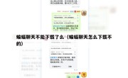 蝙蝠聊天不能下载了么（蝙蝠聊天怎么下载不的）