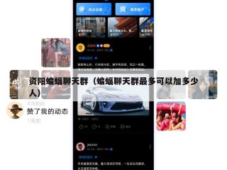 资阳蝙蝠聊天群（蝙蝠聊天群最多可以加多少人）