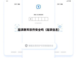 踏浪聊天软件安全吗（踏浪信息）