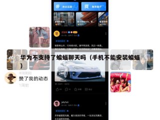 华为不支持了蝙蝠聊天吗（手机不能安装蝙蝠）