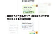 蝙蝠聊天软件怎么登不了（蝙蝠聊天软件登录时为什么会出现请求失败）
